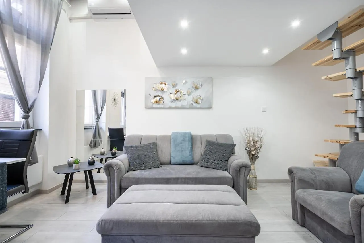 Joyous Era Apartment 布达佩斯 匈牙利