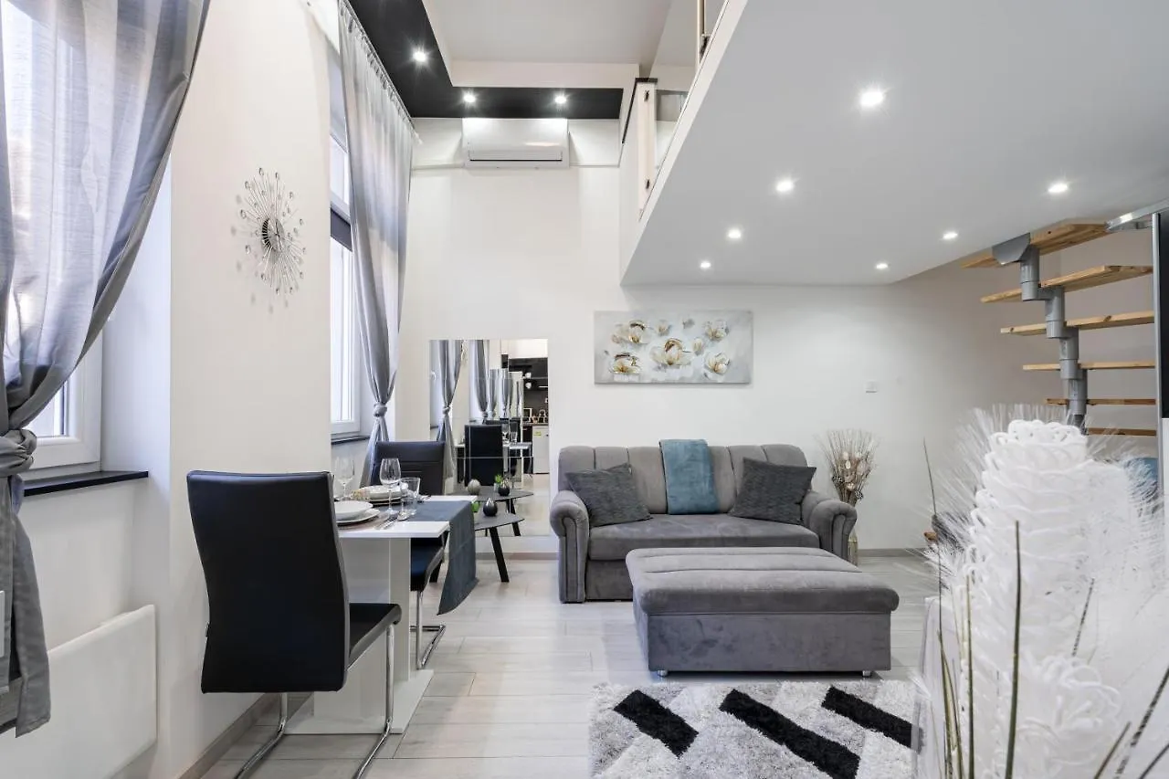 Joyous Era Apartment 布达佩斯 匈牙利